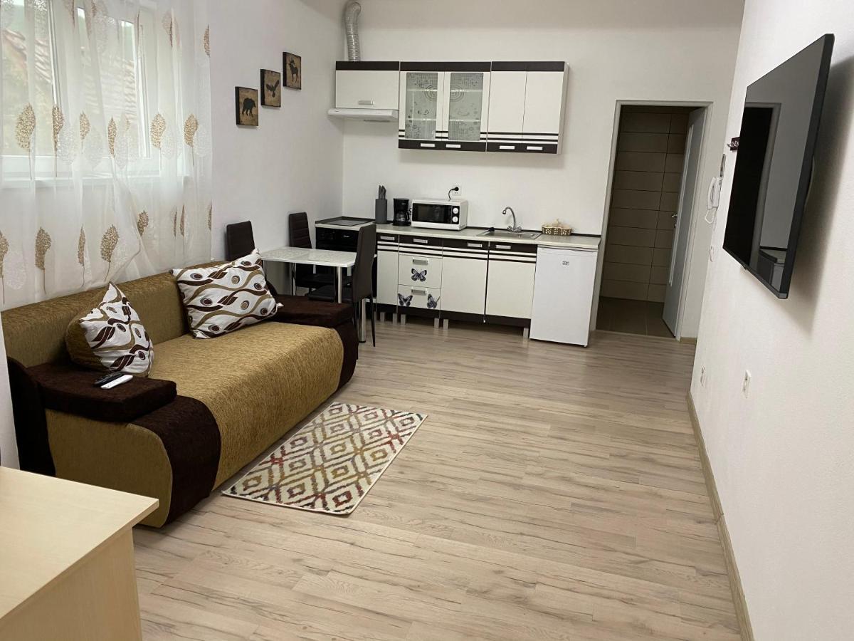 Centralhome Ap1 Сигишоара Экстерьер фото