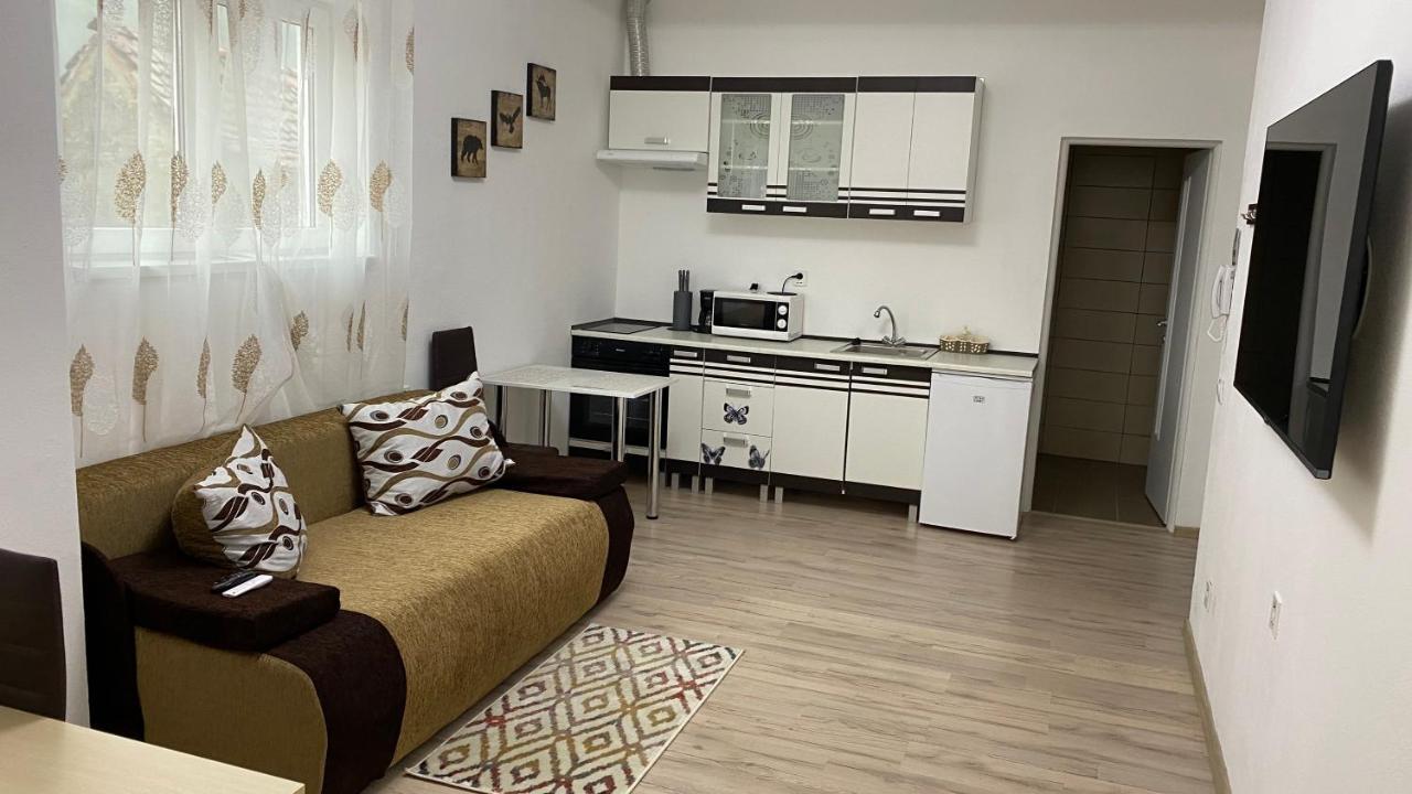 Centralhome Ap1 Сигишоара Экстерьер фото