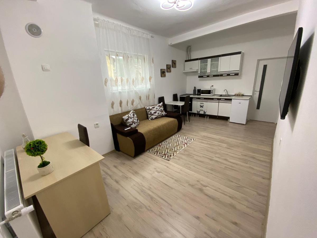 Centralhome Ap1 Сигишоара Экстерьер фото
